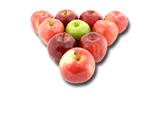 apples